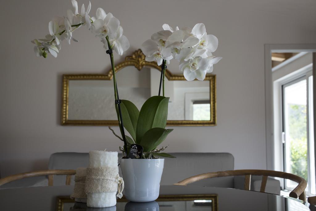 Orchidea Villa Beverino Luaran gambar
